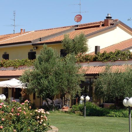 Fattoria Belvedere Белариа-Игеа Марина Екстериор снимка
