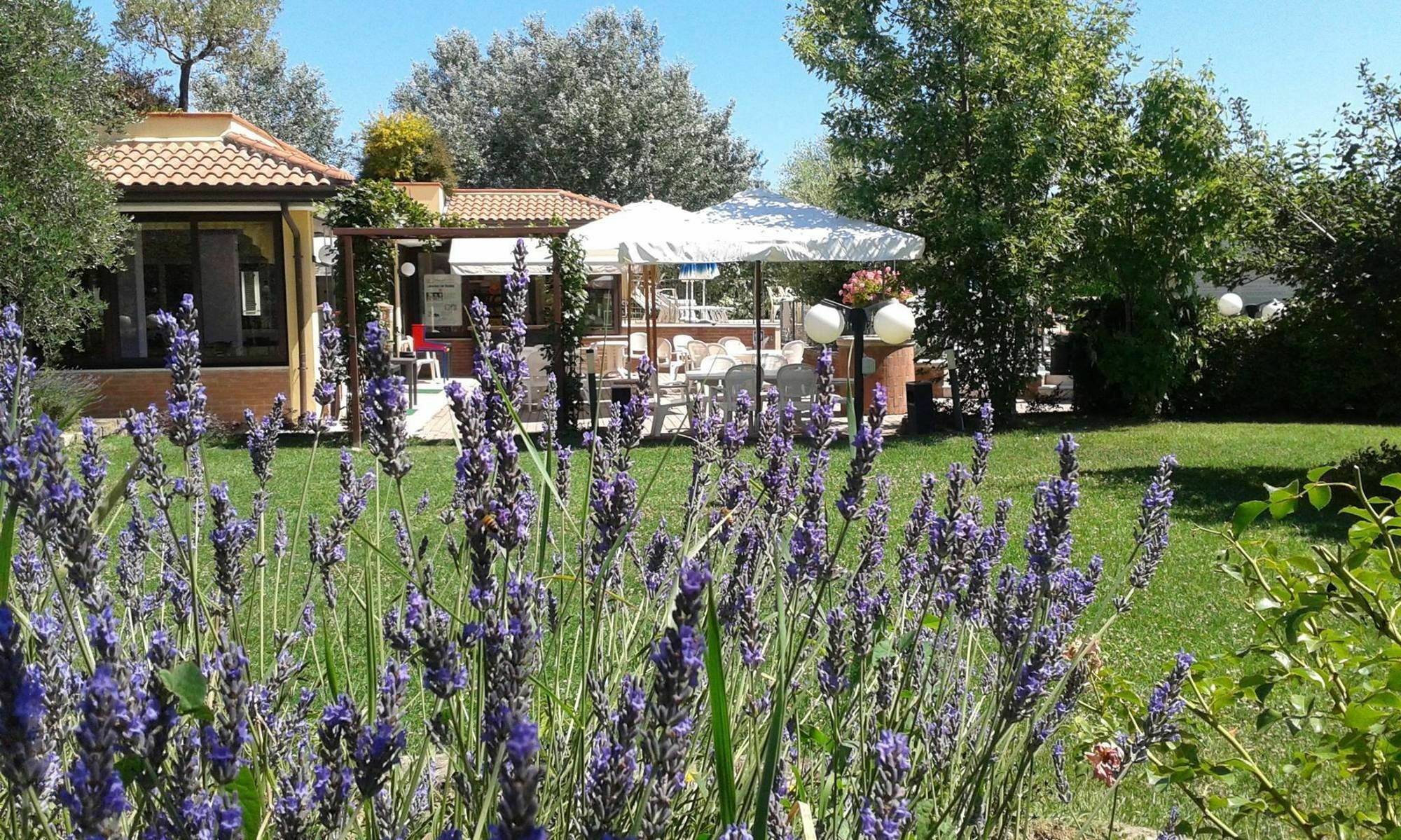 Fattoria Belvedere Белариа-Игеа Марина Екстериор снимка
