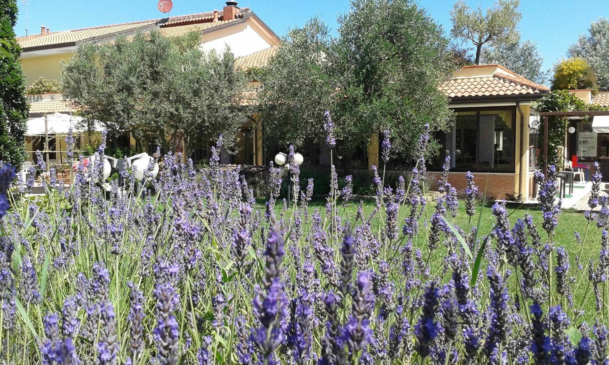 Fattoria Belvedere Белариа-Игеа Марина Екстериор снимка